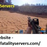 Fatality servers - the most efficient adventure changer 