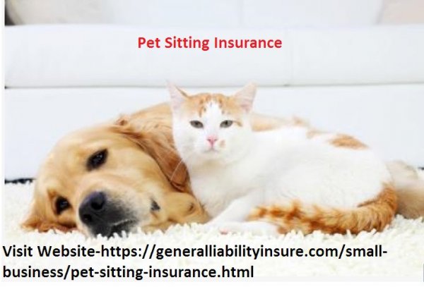 Pet Sitting Insurance 