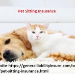 Pet Sitting Insurance 