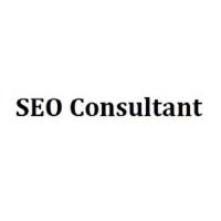SEO Consultant